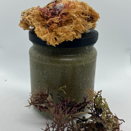 Irish Sea Moss Gel Jar